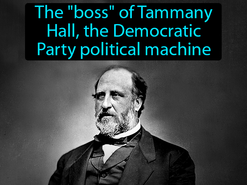 Boss Tweed Definition with no text