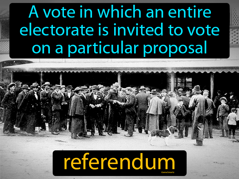 Referendum Definition
