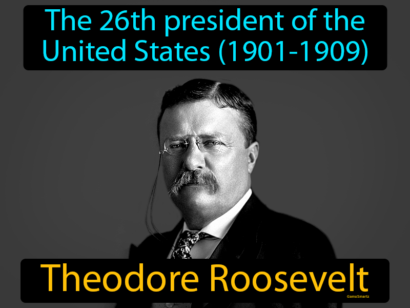 Theodore Roosevelt Definition