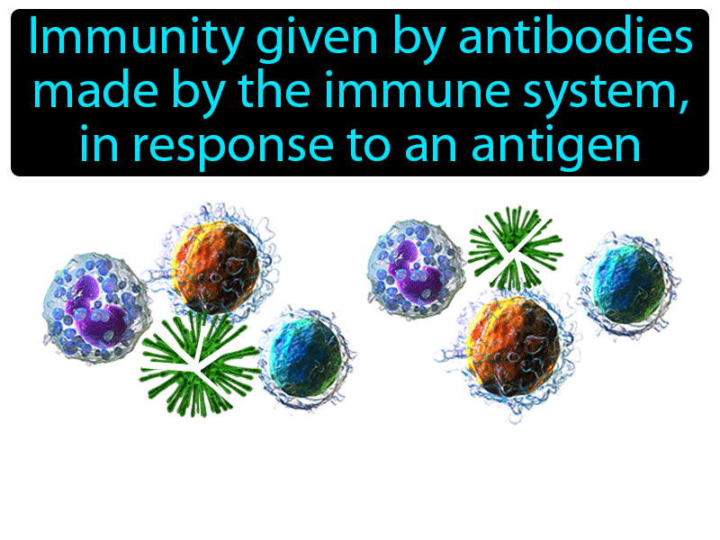 Active Immunity Definition with no text
