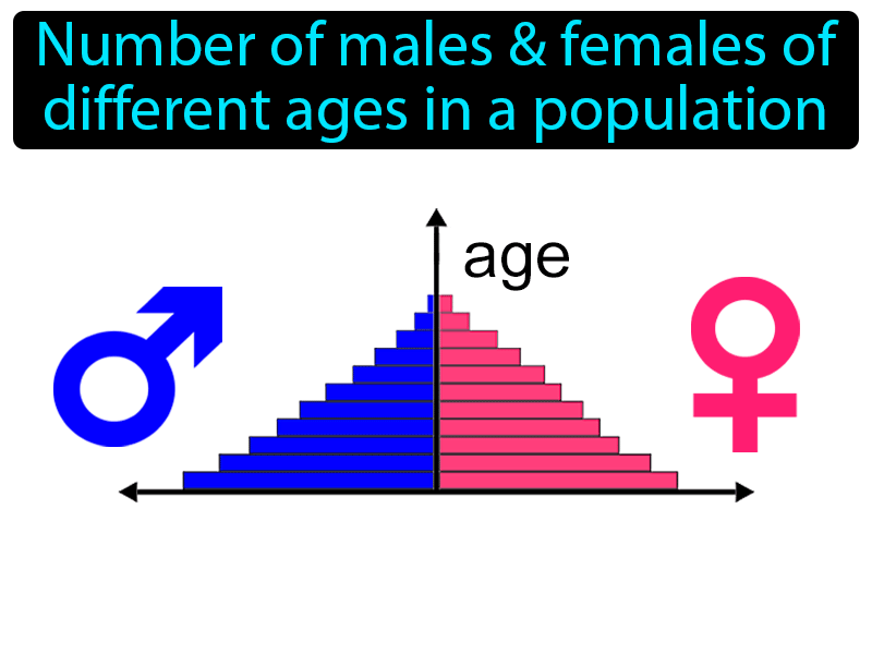 Age Structure Definition with no text