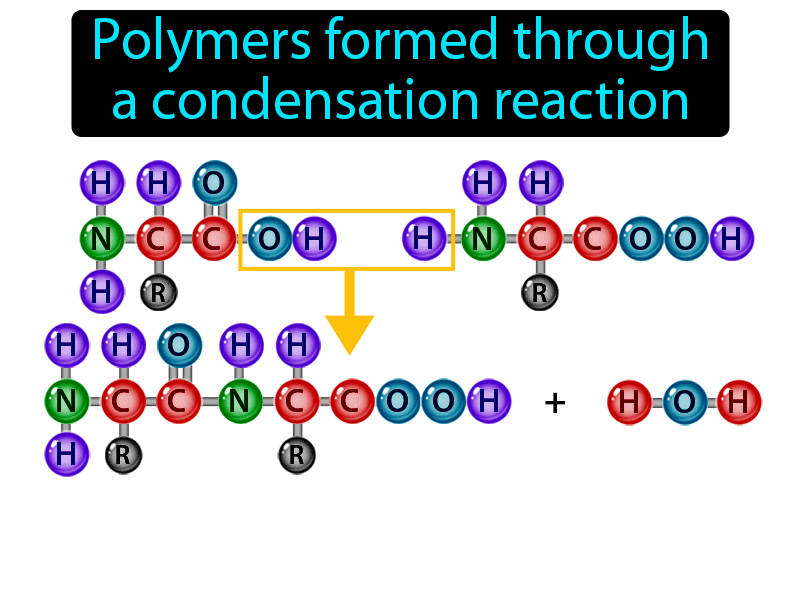 Condensation Polymerization Definition with no text