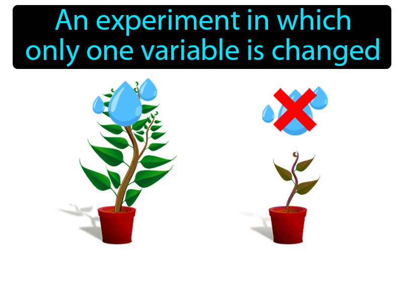Controlled Experiment Definition with no text