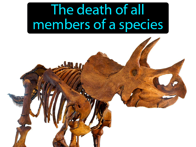 Extinction Definition with no text