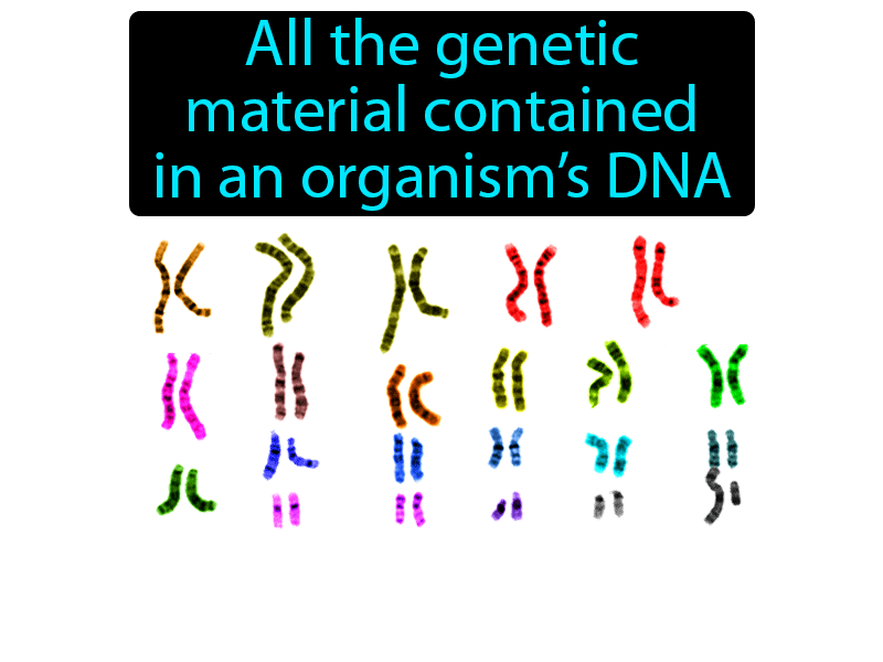 Genome Definition with no text