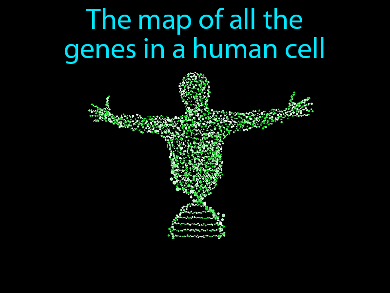 Human Genome Definition with no text