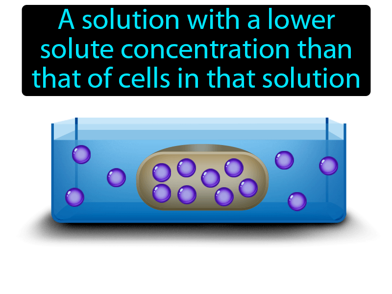 Hypotonic Solution Definition with no text