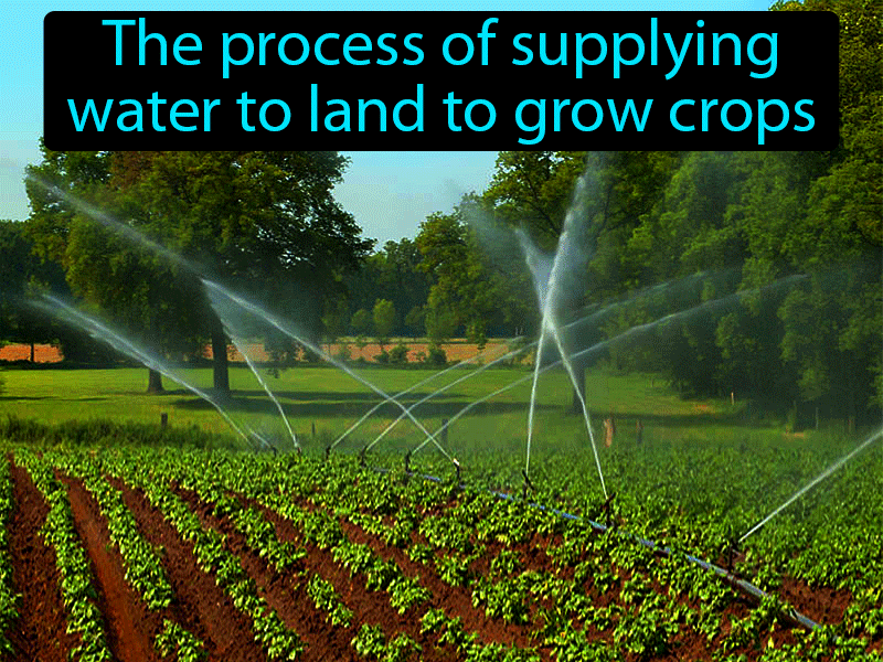 Irrigation Definition with no text
