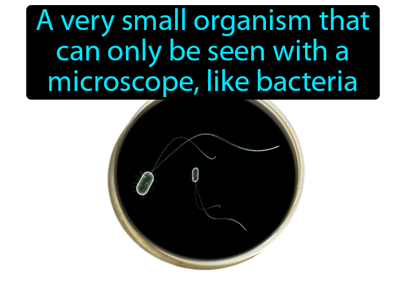 Microorganism Definition with no text