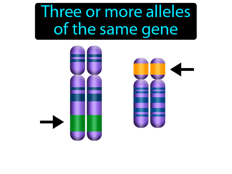 Multiple Allele Definition with no text
