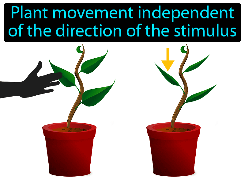 Nastic Movement Definition with no text