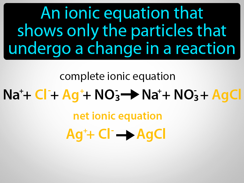 Net Ionic Equation Definition with no text