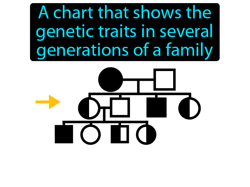 Pedigree Definition with no text