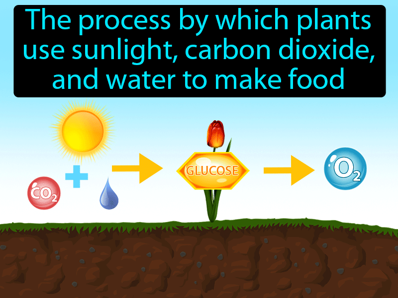 Photosynthesis Definition with no text