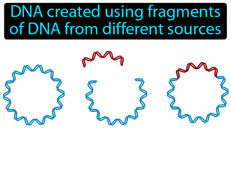 Recombinant DNA Definition with no text