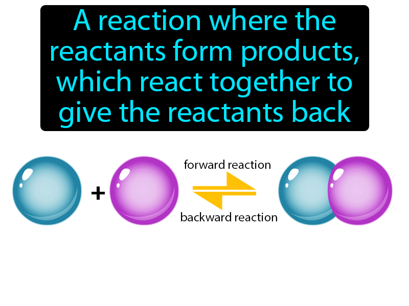 Reversible Reaction Definition with no text