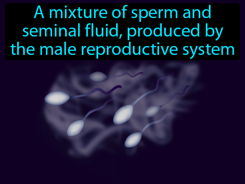Semen Definition with no text