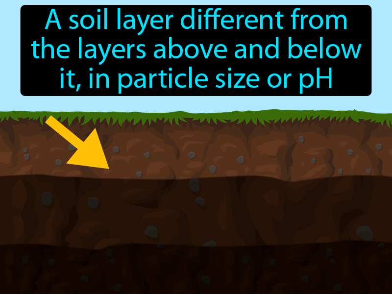 Soil Horizon Definition with no text