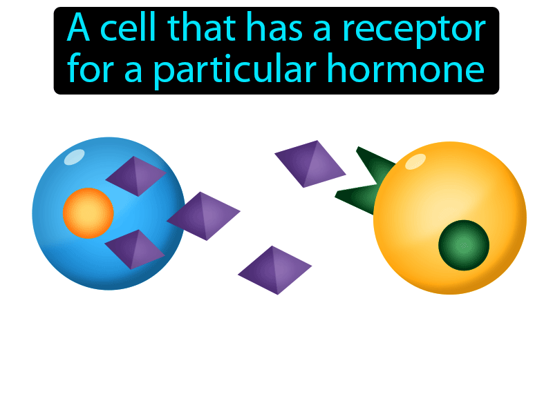 Target Cell Definition with no text