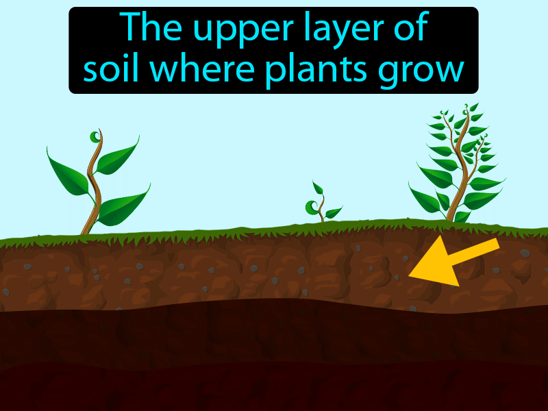 Topsoil Definition with no text