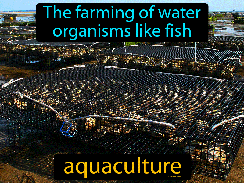 Aquaculture Definition
