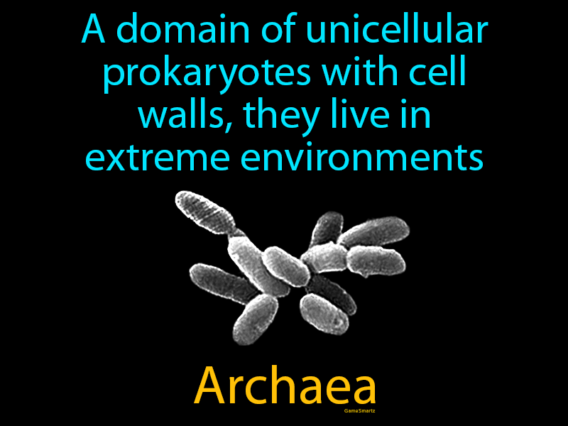 Archaea Definition