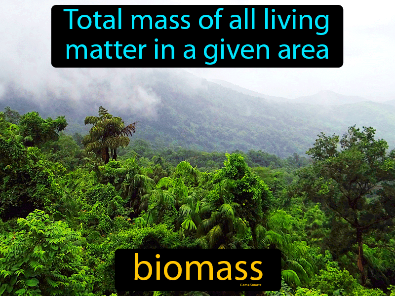 Biomass Definition