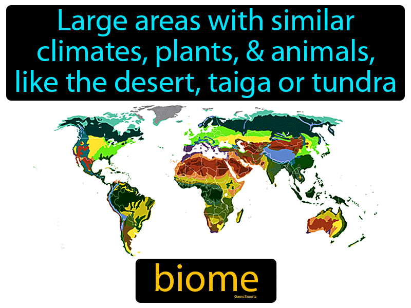 Biome Definition