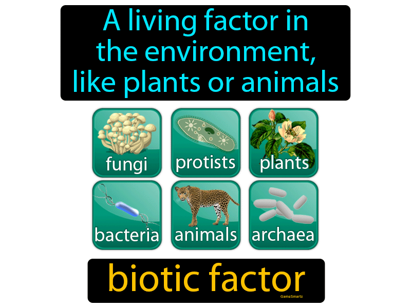 Biotic Factor Definition