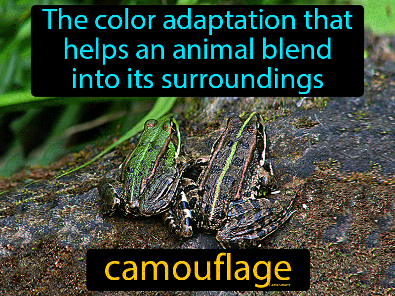 Camouflage Definition