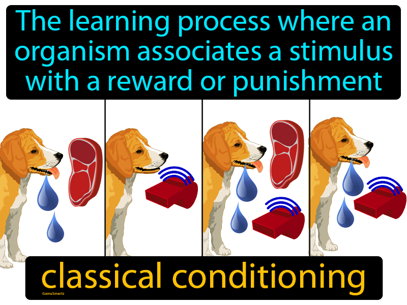Classical Conditioning Definition