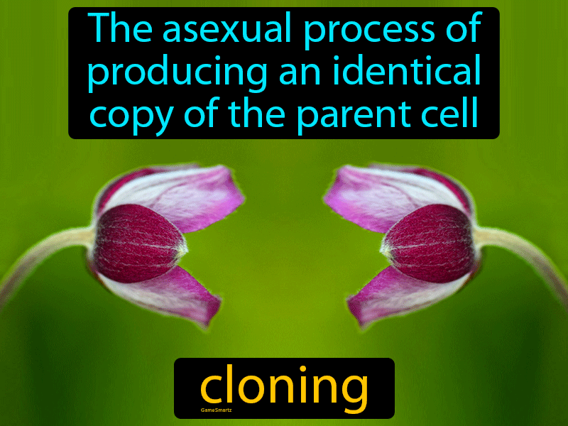 Cloning Definition