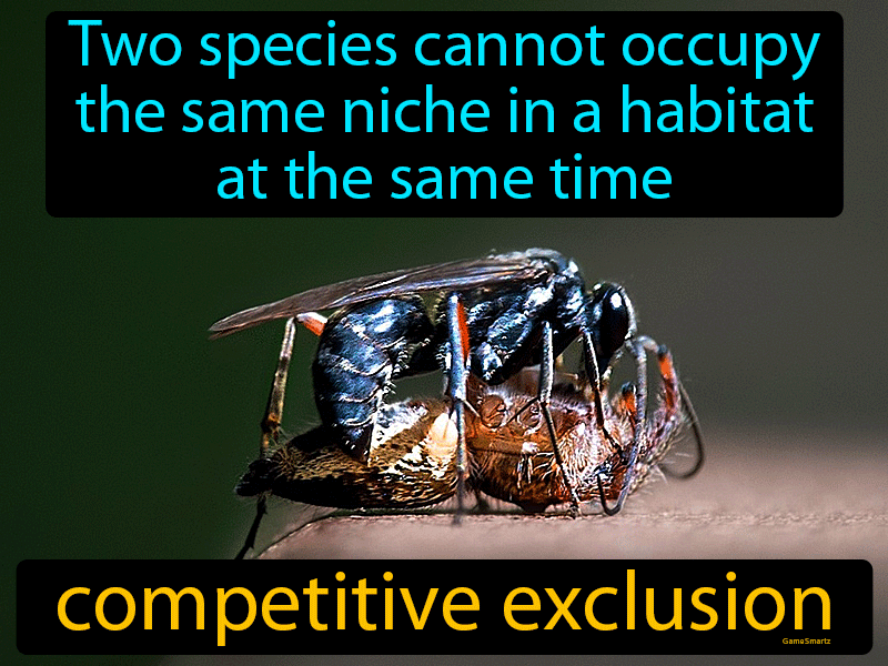 Competitive Exclusion Definition