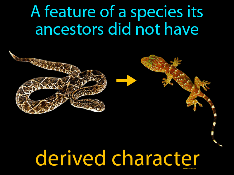 Derived Character Definition