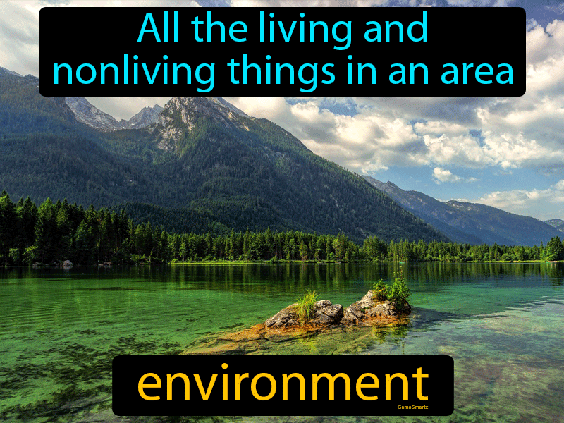 Environment Definition