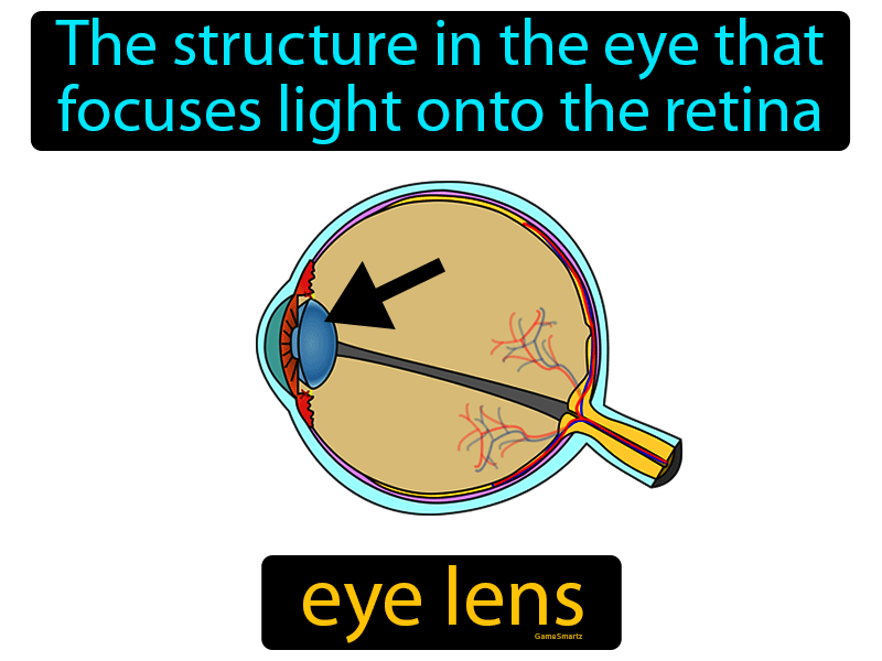 Eye Lens Definition