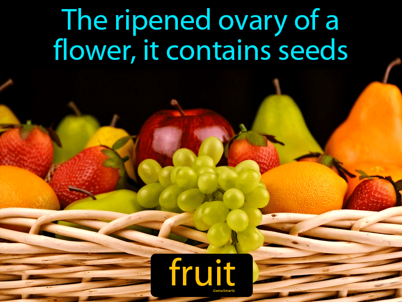 Fruit Definition