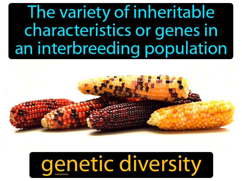 Genetic Diversity Definition