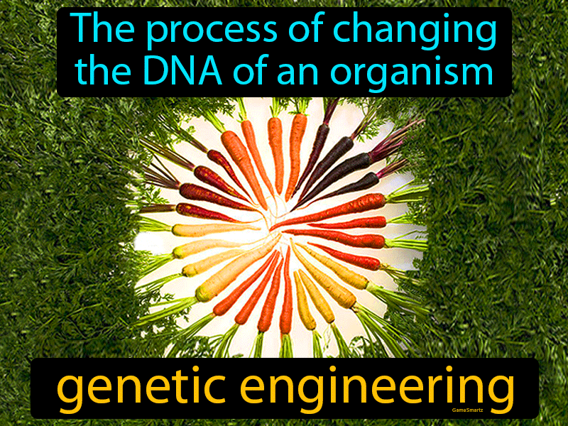 Genetic Engineering Definition