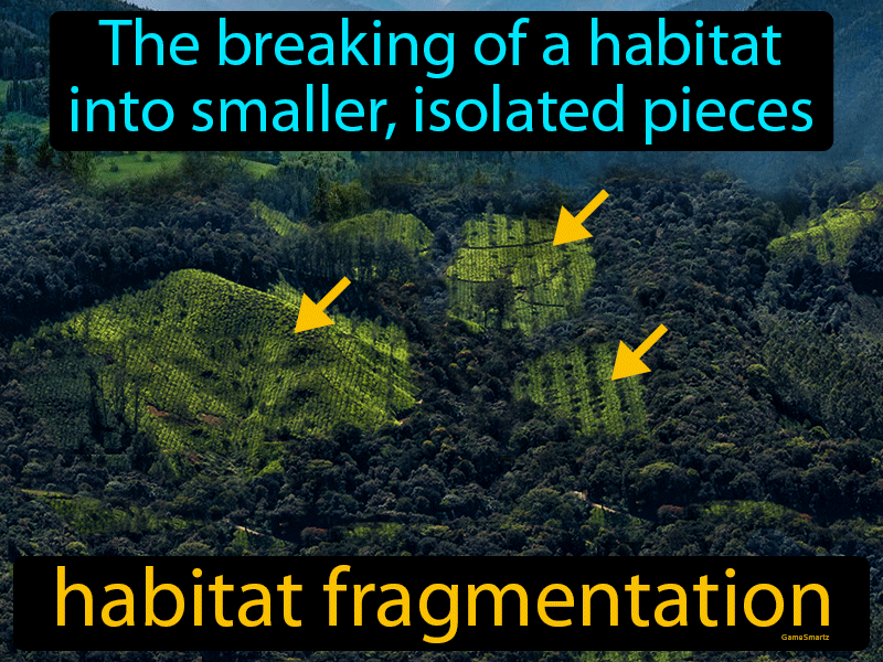 Habitat Fragmentation Definition