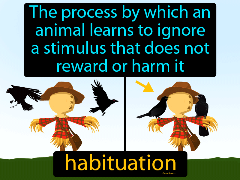Habituation Definition