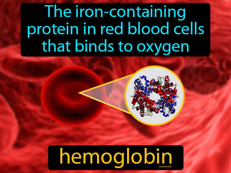 Hemoglobin Definition
