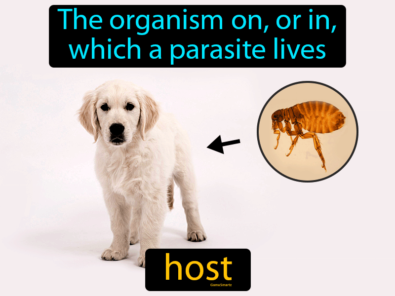Host Definition