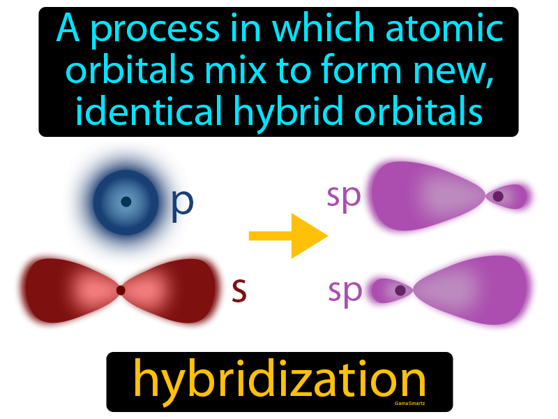 Hybridization Definition