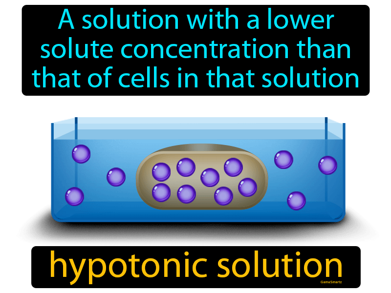 Hypotonic Solution Definition