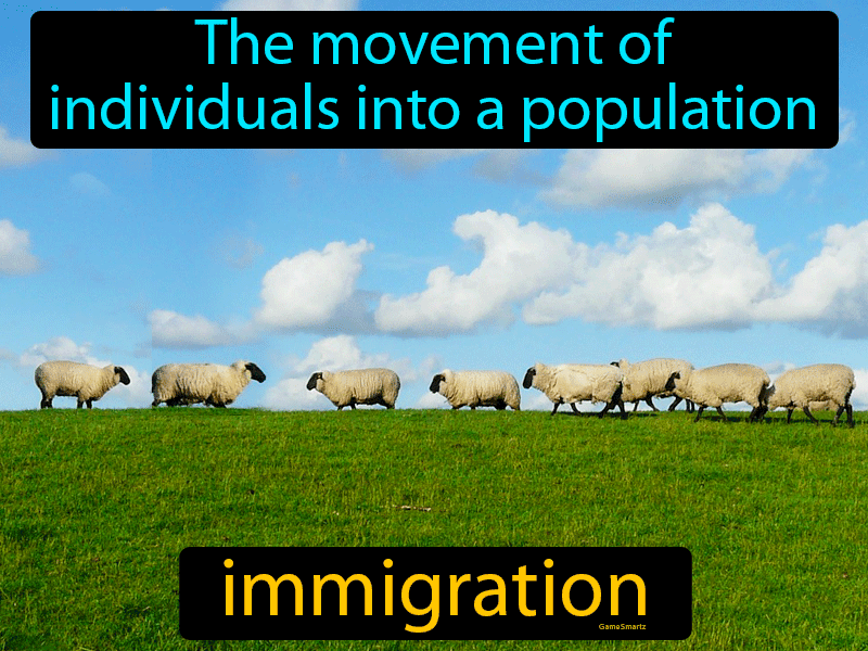 Immigration Definition