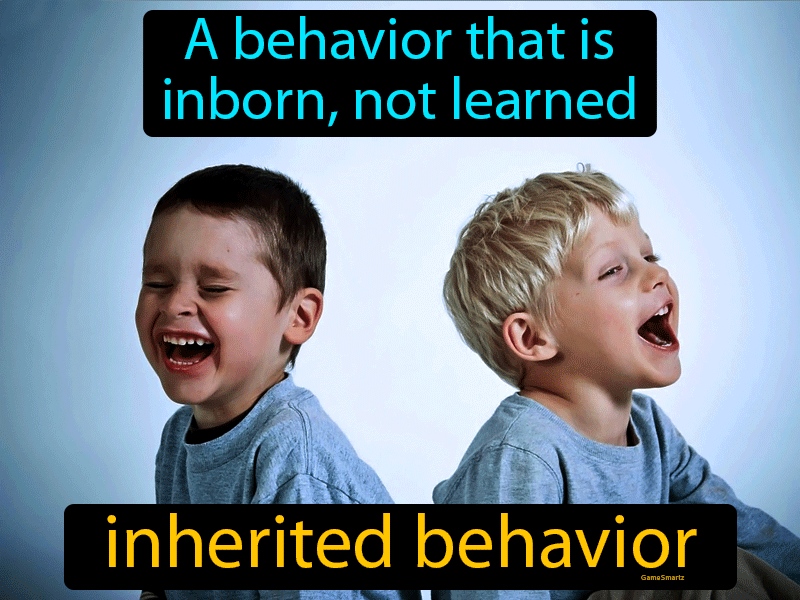 Inherited Behavior Definition