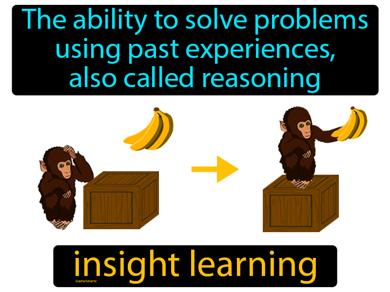 Insight Learning Definition