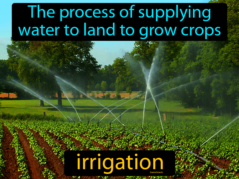Irrigation Definition