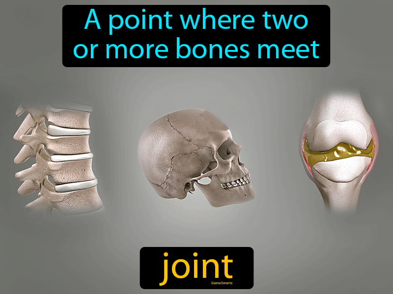 Joint Definition